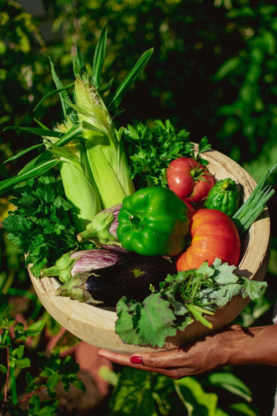 A hand holding a wooden basket piled with freshly picked home-grown vegetables