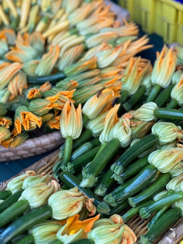 Dark green courgettes freshly picked with their flowers attached